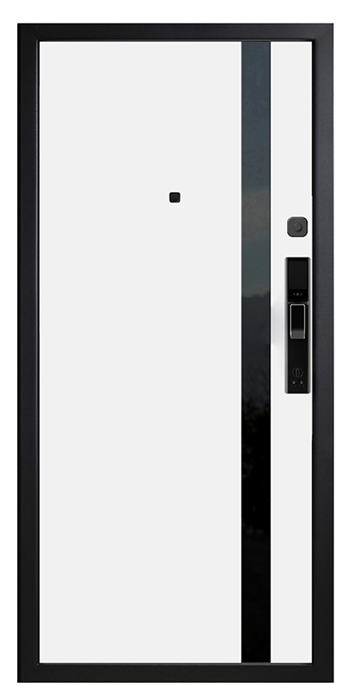 Входная дверь 