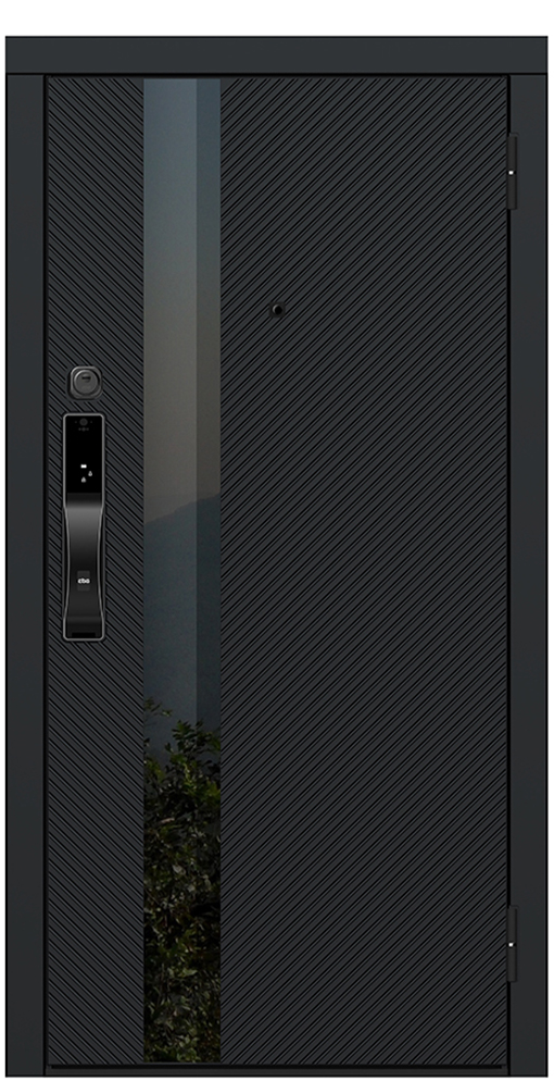 Входная дверь 