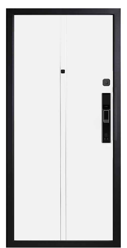 Входная дверь 