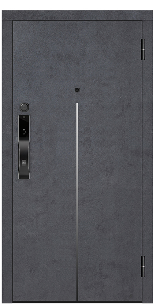 Входная дверь 