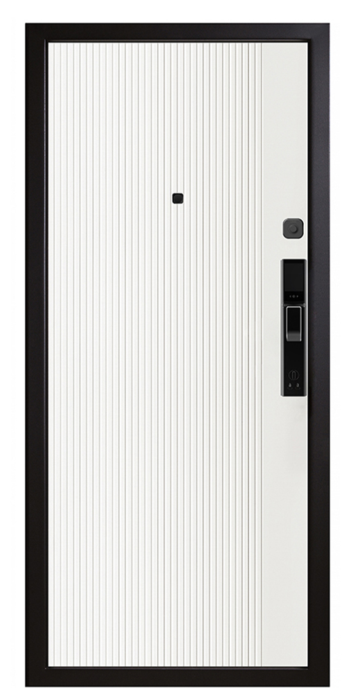 Входная дверь 