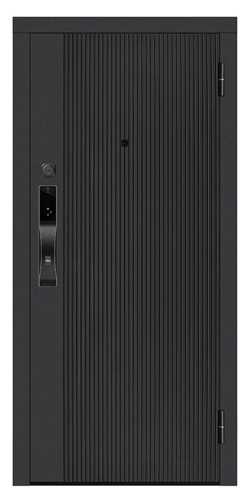 Входная дверь 