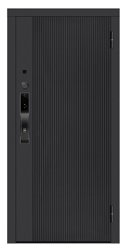 Входная дверь 