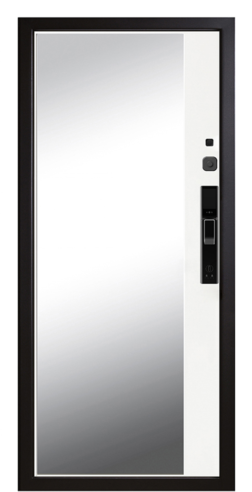 Входная дверь 