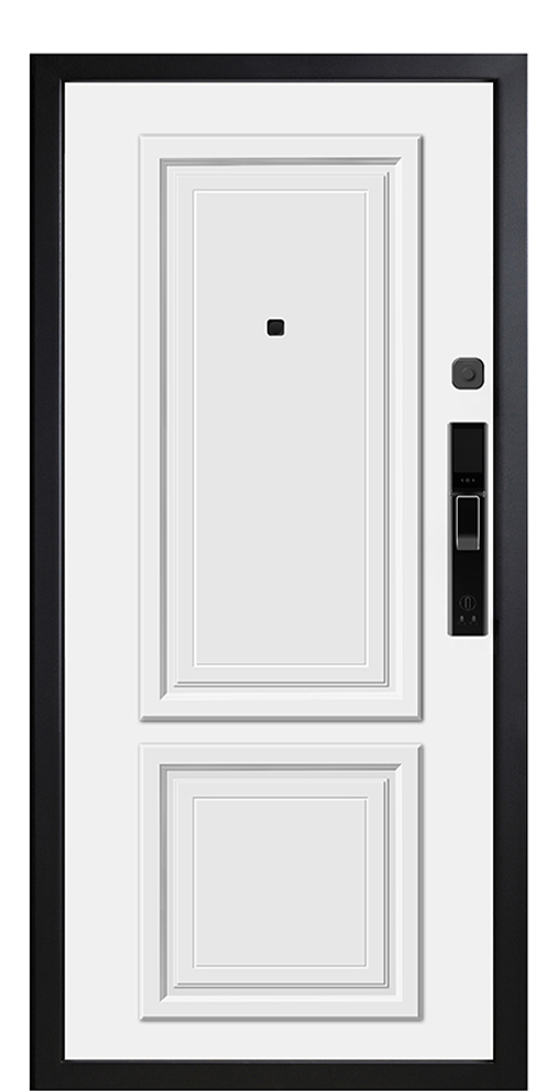 Входная дверь 