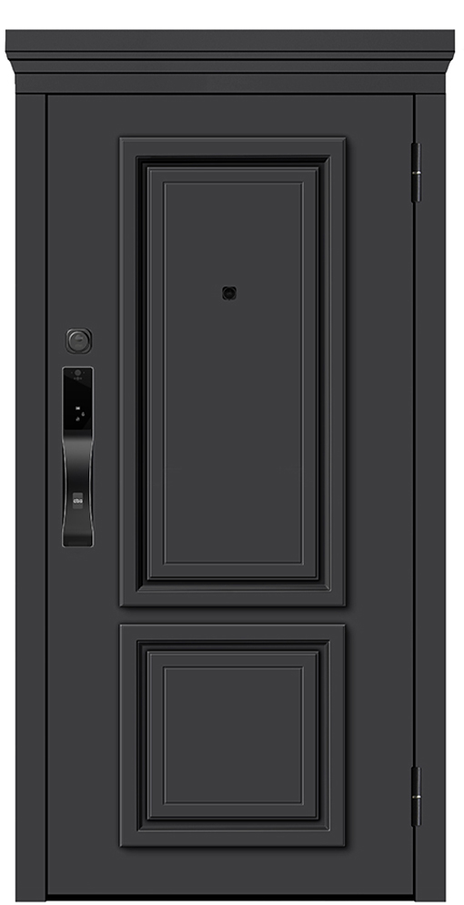 Входная дверь 