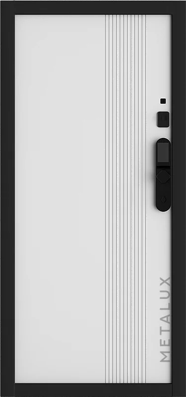 Входная дверь 