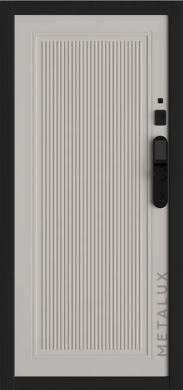 Входная дверь 