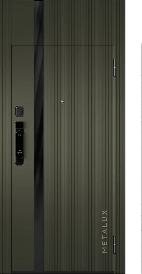 Входная дверь 