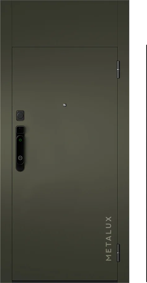 Входная дверь 