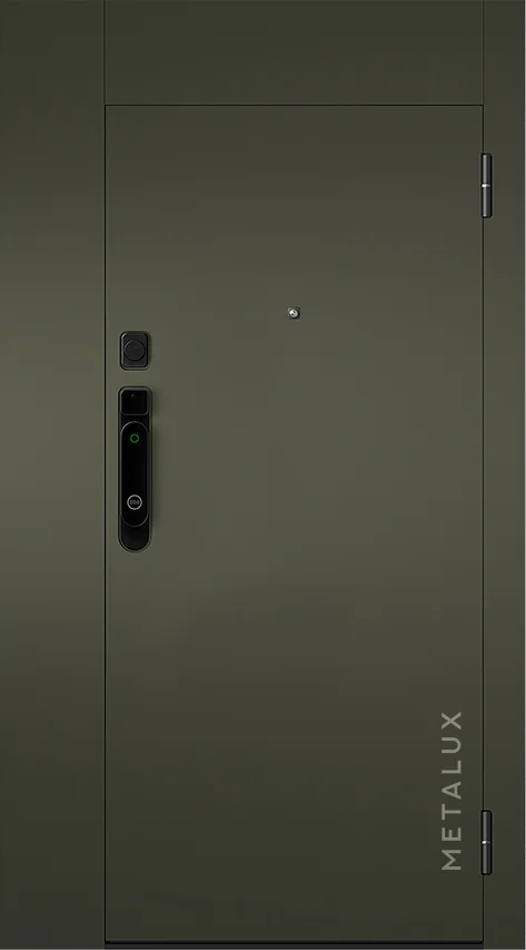 Входная дверь 