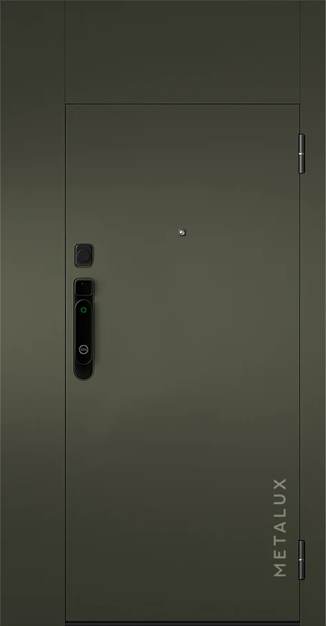 Входная дверь 