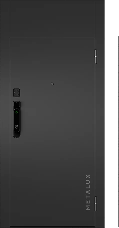 Входная дверь 