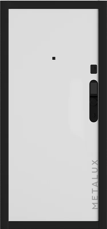 Входная дверь 