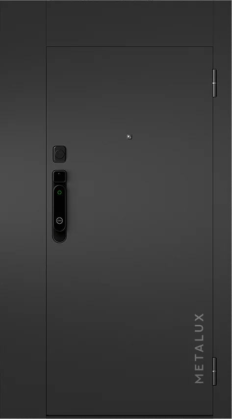 Входная дверь 