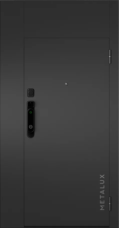 Входная дверь 