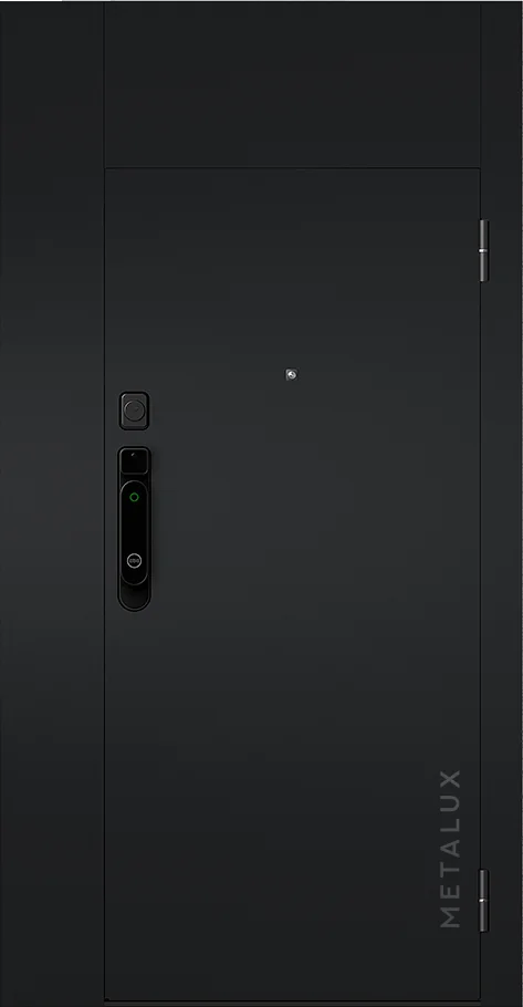 Входная дверь 