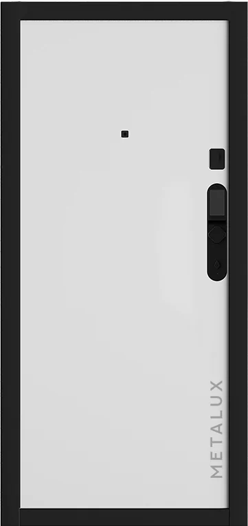 Входная дверь 