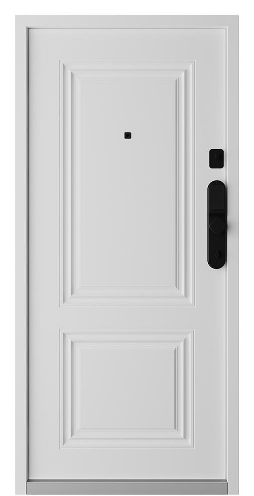 Входная дверь 