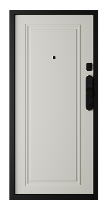 Входная дверь 