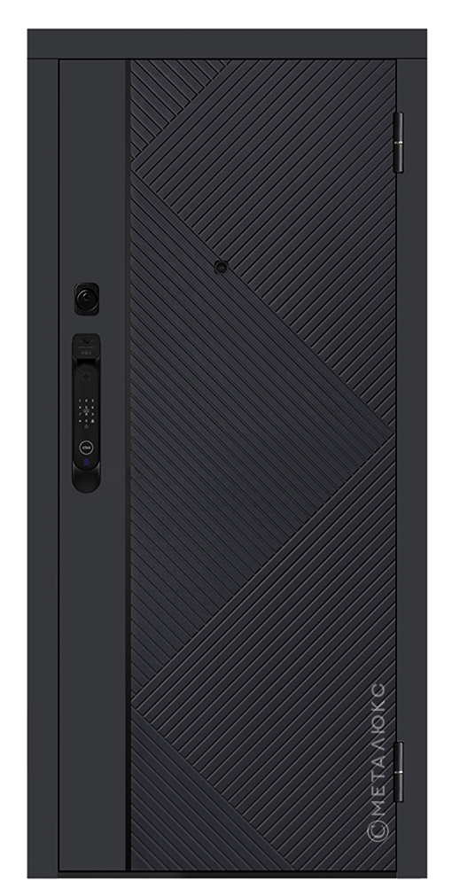 Входная дверь 