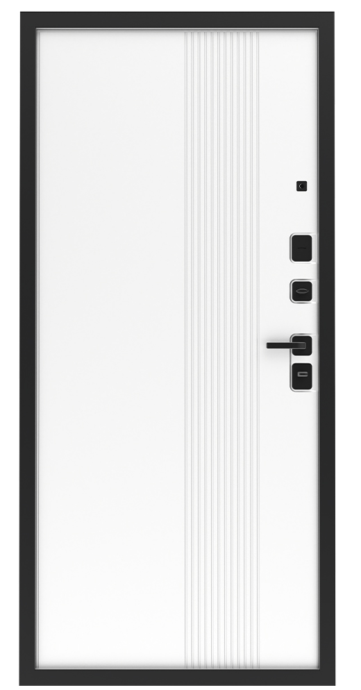 Входная дверь 