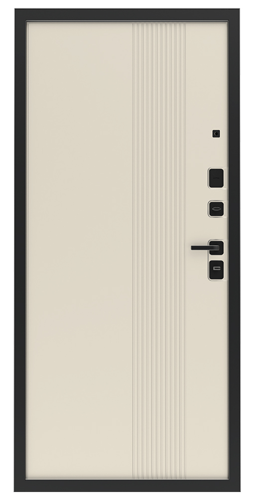 Входная дверь 