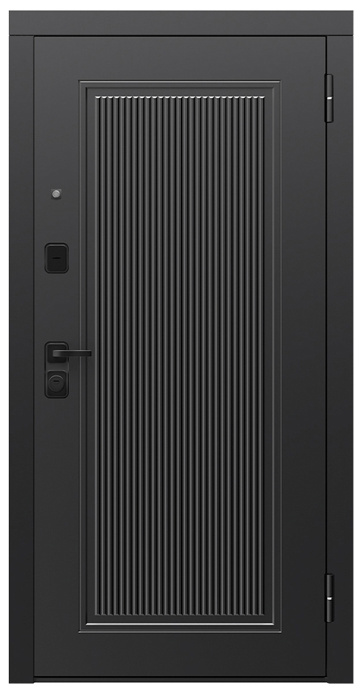 Входная дверь 