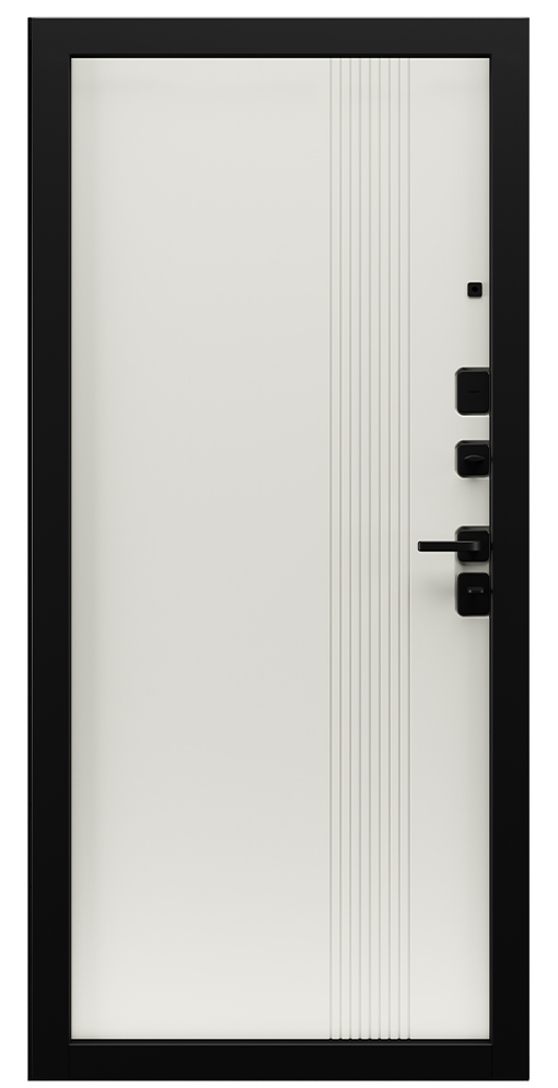 Входная дверь 