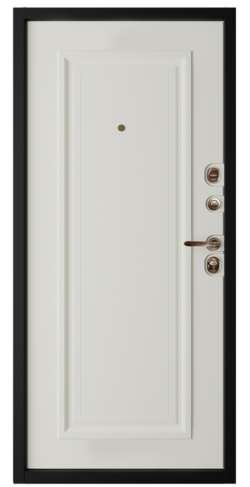 Входная дверь 