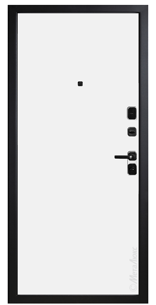 Входная дверь 