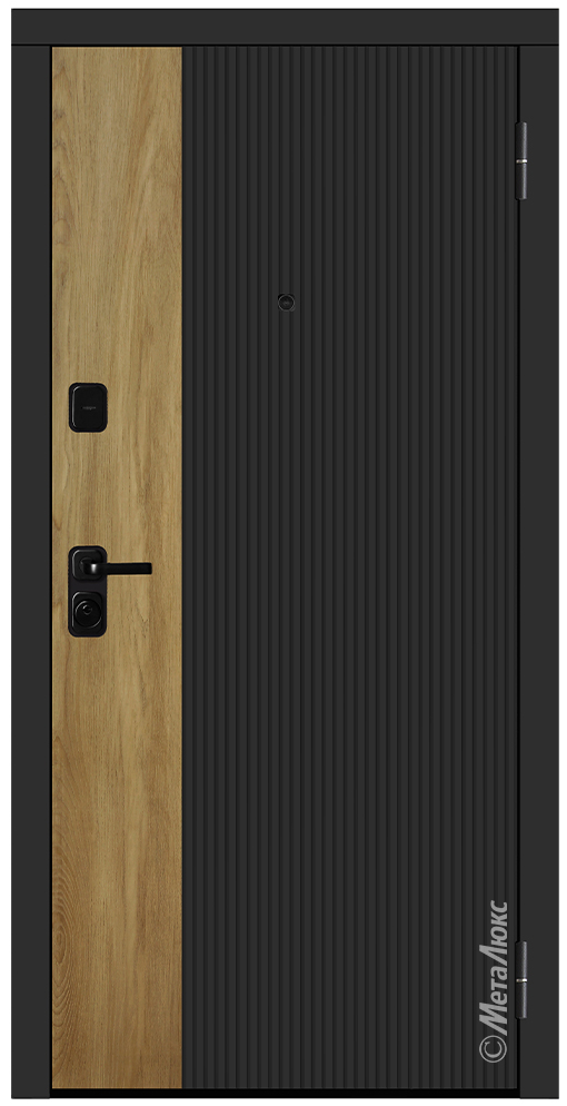 Входная дверь 