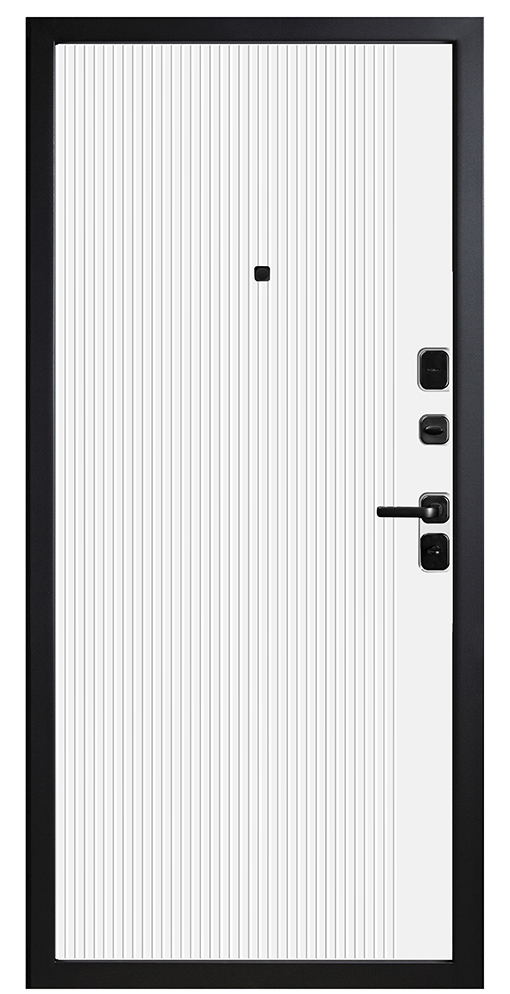 Входная дверь 