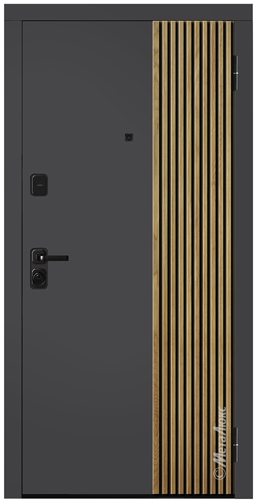 Входная дверь 