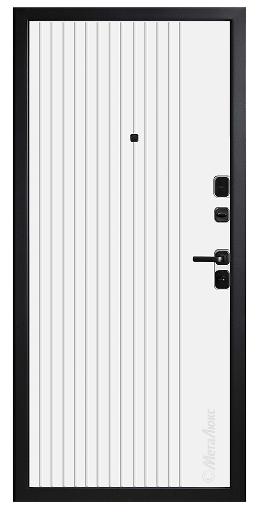 Входная дверь 