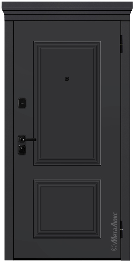 Входная дверь 