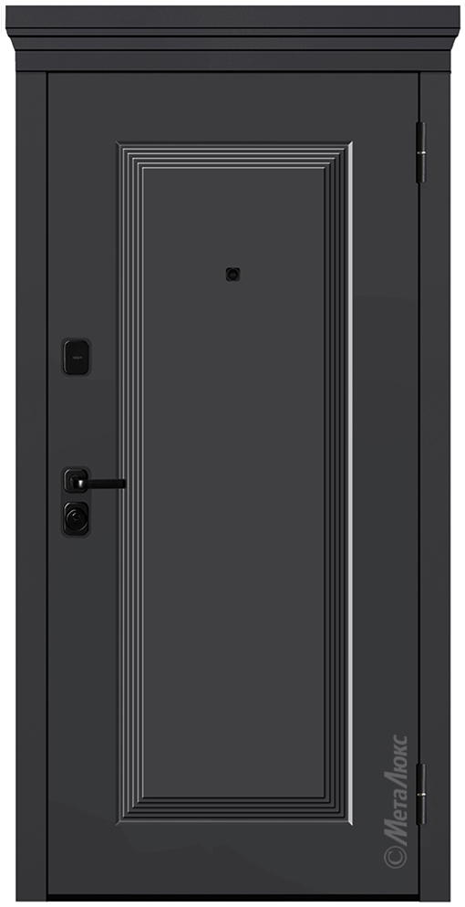 Входная дверь 