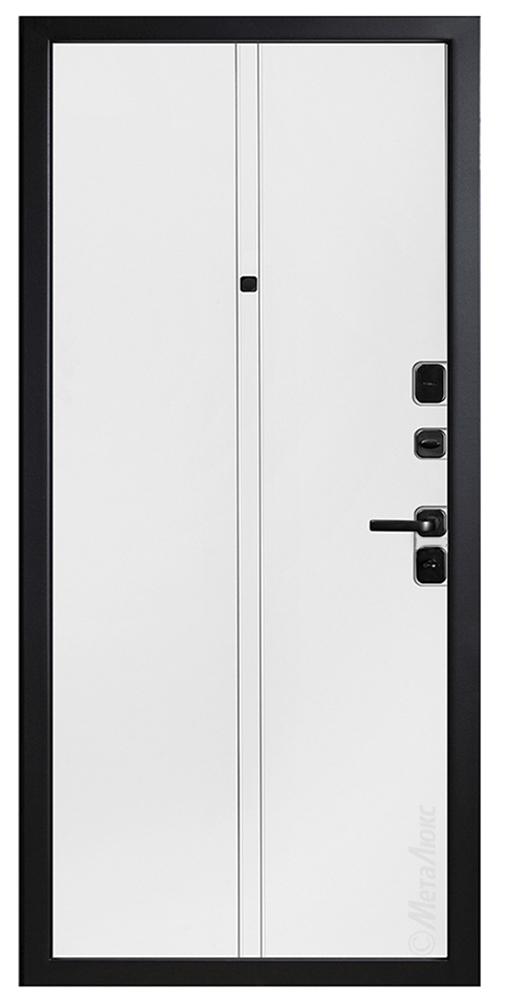 Входная дверь 