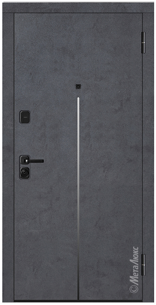 Входная дверь 