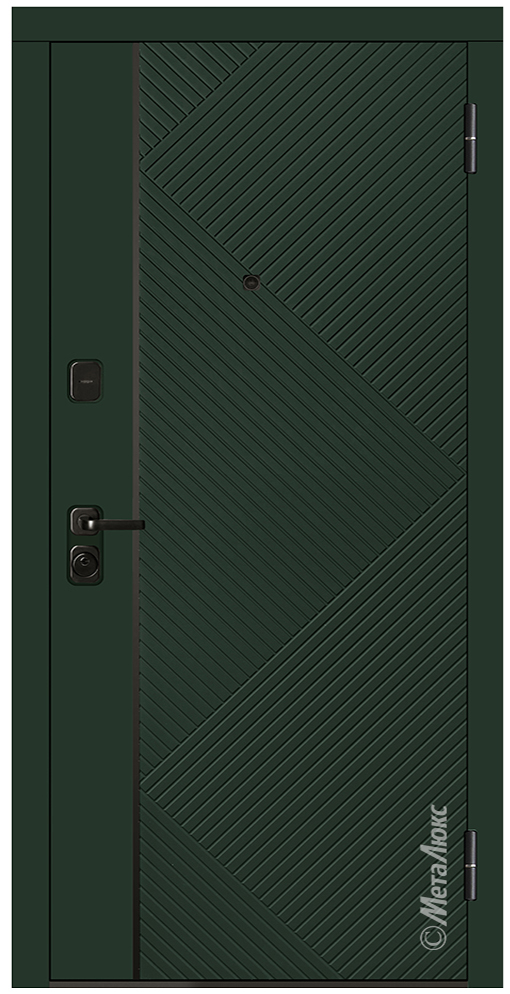 Входная дверь 