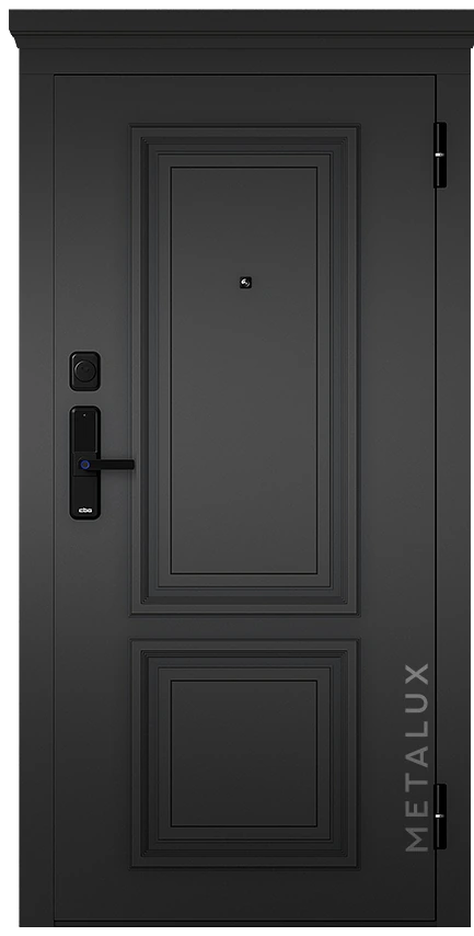 Входная дверь 
